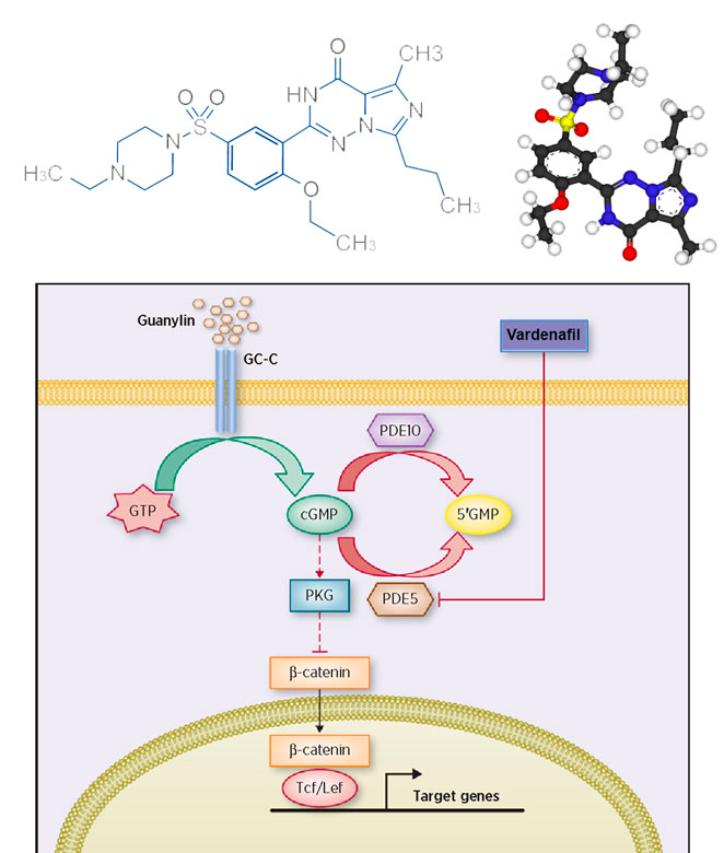 Левитра Состав Левитра Состав